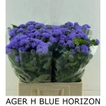 Ageratum Päsmaslill Blue Horizon 60cm