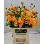 Dahlia Daalia Vrouwe Jacoba 55cm