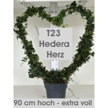 Hedera helix other groen 23cm