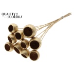 Stick Bell Cup Antique Gold 5pc/bunch 50cm (pk)