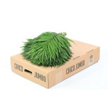 CHICO JUMBO MAYA 45cm (pk)