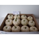 Cucurbita Kõrvits Baby Boo