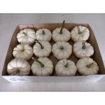 Cucurbita Kõrvits Baby Boo suur
