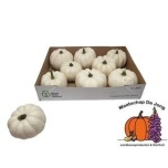 Cucurbita Kõrvits Baby Boo