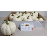 Cucurbita Kõrvits Baby Boo