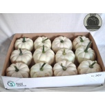 Cucurbita Kõrvits Baby Boo