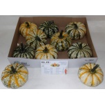 Cucurbita Kõrvits P-ke Mon