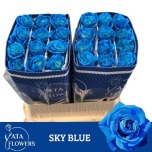 Roos EC 70cm paint Blue