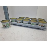 Kattegras Kassimuru 12cm