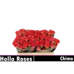 Kobarroos 50cm Chimo