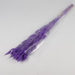 Dried Lagurus Purple (50g) 70cm (pk)