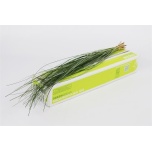 Beargrass Karuhein (pk)
