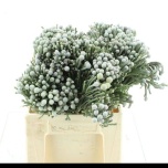 Brunia Laevis Silver 40cm