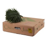 Chico (pk)