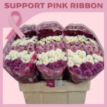 Chrysanthemum Krüsanteem SANTINI Pink Ribbon MIX*25