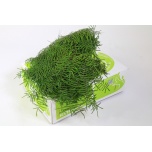Coral Fern Koralljalg (pk)