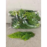 Conifer Green 5kg (pk)