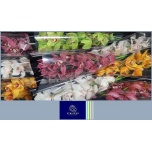 Cymbidium Tsümbiidium MIX 60cm