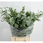 Eucalyptus MIX per bunch 50cm