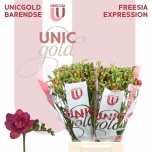 Freesia Expression