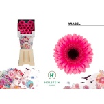 Gerbera MINI Diamond Arabel*20