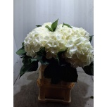 Hydrangea Hortensia Schneeball 80cm*5