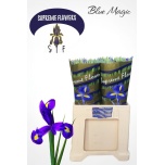 Iris Iiris Blue Magic