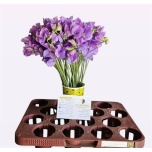 Lathyrus Lillhernes Midblue