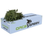Leatherleaf Nahkleht (pk)