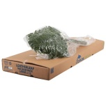 Leatherleaf Nahkleht (pk)
