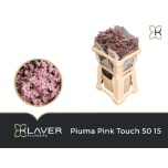 Limonium Parkjuur V Piuma Pink Touch 50cm