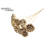 Stick Lotus Ø5-7cm Antique Gold 5pc/bunch 50cm (pk)