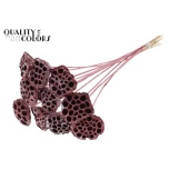 Stick Lotus Ø5-7cm Metallic Red 5pc/bunch 50cm (pk)