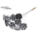 Stick Lotus Ø5-7cm Silver 5pc/bunch 50cm (pk)