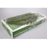 Phoenix 80cm (pk)