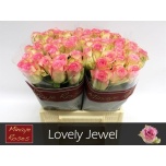 Roos 40cm Lovely Jewel