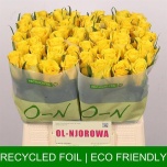 Roos 40cm Moonwalk