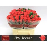 Roos 40cm Pink Tacazzi
