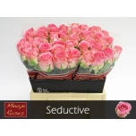 Roos 40cm Seductive