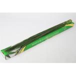 Steelgrass 120cm (pk)