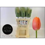 Tulp fre Avignon