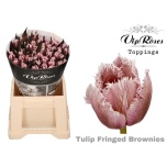 Tulp paint fr Brownies