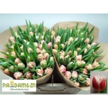 Tulp Voicemail