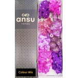 Vanda mix per stem (8 õit)
