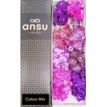 Vanda per stem (8 õit)