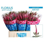 Veronica Smart Artist 60cm