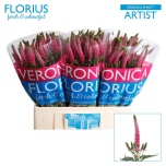 Veronica Smart Artist 60cm