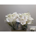 Zantedeschia Kalla Capt Ventura 60cm