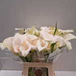 Zantedeschia Kalla Ivory Art 60cm