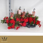 Mandevilla Bella Red 21cm